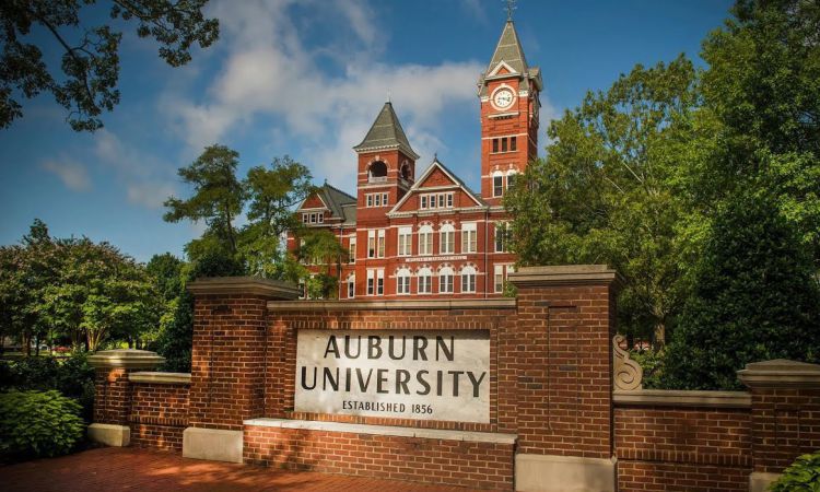 auburn-university-primary
